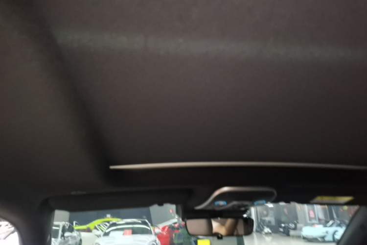 Used BYD Tang New Energy 2024 DM-p Glory Edition 215KM All-Wheel-Drive Premium Model Headliner