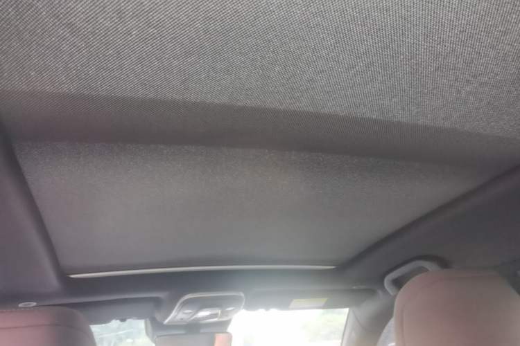 Used BYD Tang New Energy 2024 DM-i Glory Edition 112KM Prestige Model Headliner