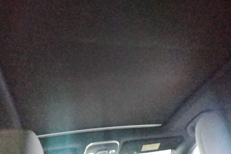 Used BYD Tang New Energy 2024 DM-i Glory Edition 112KM Prestige Model Headliner