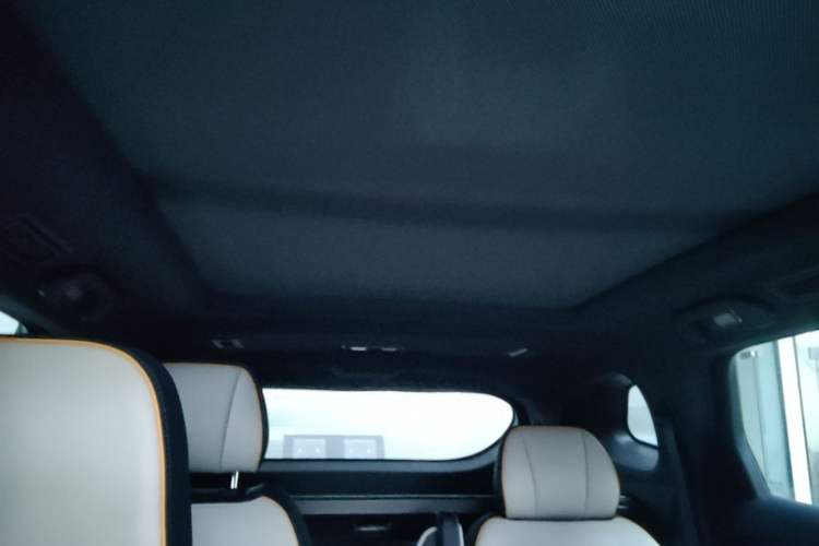 Used BYD Tang New Energy 2024 DM-p Champion Edition 215 km All-Wheel-Drive Flagship Model Headliner