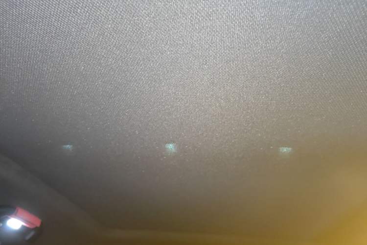 Used BYD Tang New Energy 2024 DM-p War God Edition Headliner