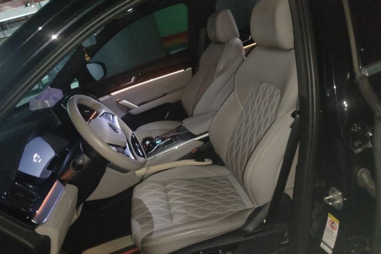 Used BYD Tang New Energy 2024 DM-i Glory Edition 112KM Prestige Model Left Front Seat