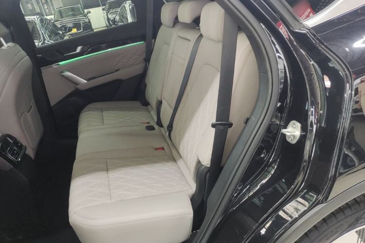 Used BYD Tang New Energy 2024 DM-i Glory Edition 112KM Prestige Model Left Rear Seat