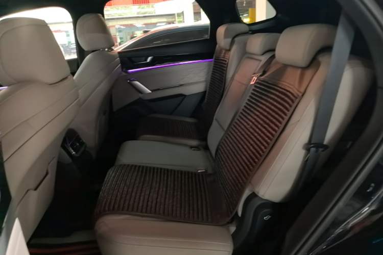 Used BYD Tang New Energy 2024 DM-i Glory Edition 112KM Prestige Model Left Rear Seat