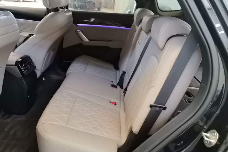 Used BYD Tang New Energy 2024 DM-i Glory Edition 112KM Flagship Model Left Rear Seat