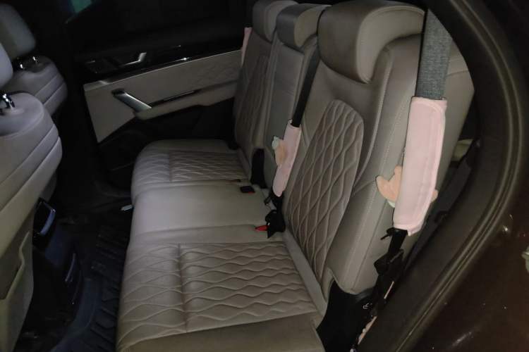 Used BYD Tang New Energy 2024 EV Glory Edition 600KM Premium Model Left Rear Seat