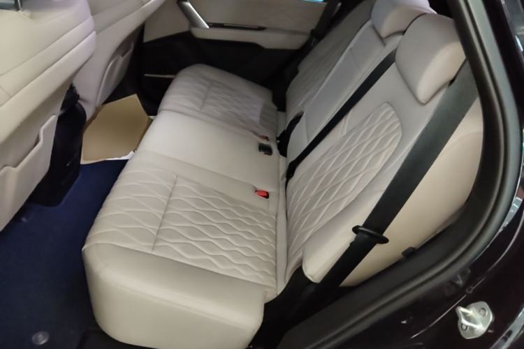 Used BYD Tang New Energy 2024 DM-i Glory Edition 112KM Prestige Model Left Rear Seat