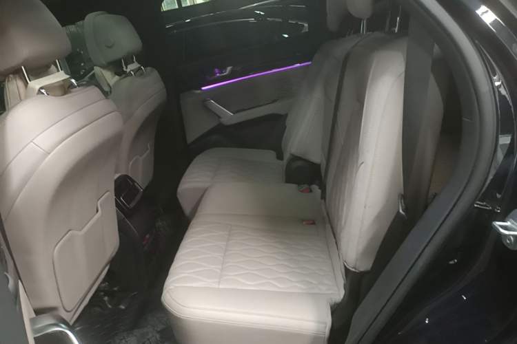 Used BYD Tang New Energy 2024 EV Glory Edition 730KM Premium Model Left Rear Seat