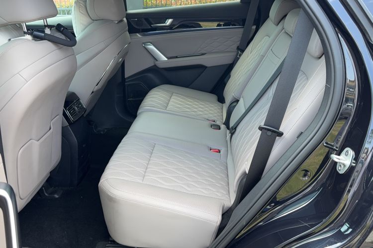 Used BYD Tang New Energy 2024 DM-i Glory Edition 112KM Prestige Model Left Rear Seat