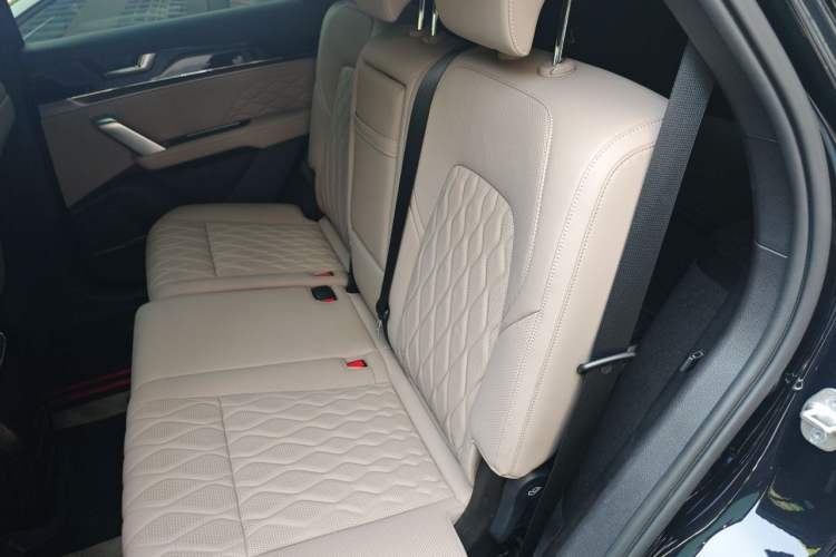 Used BYD Tang New Energy 2024 DM-i Glory Edition 112KM Flagship Model Left Rear Seat