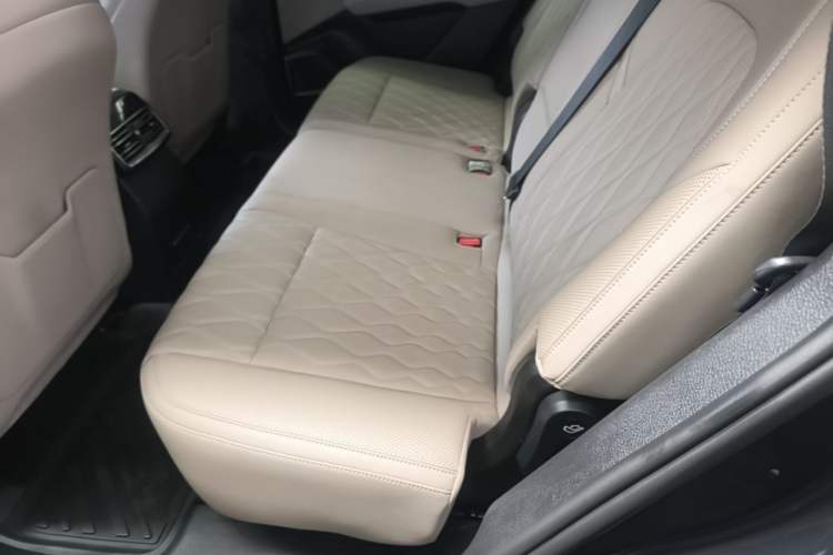 Used BYD Tang New Energy 2024 DM-i Glory Edition 112KM Flagship Model Left Rear Seat
