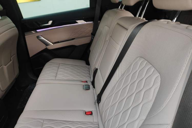 Used BYD Tang New Energy 2024 DM-i Glory Edition 112KM Prestige Model Left Rear Seat