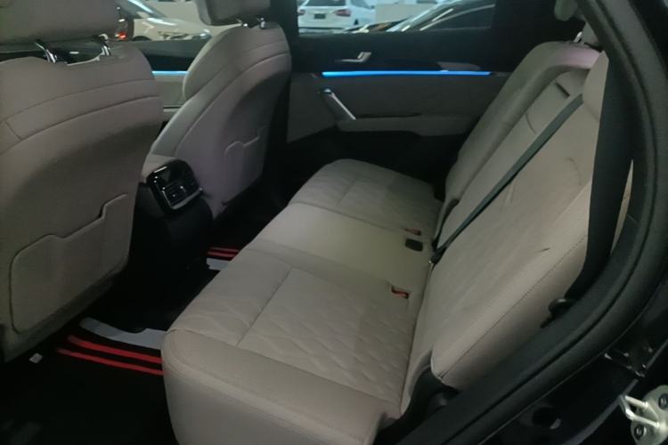 Used BYD Tang New Energy 2024 DM-i Glory Edition 200KM Flagship Model Left Rear Seat
