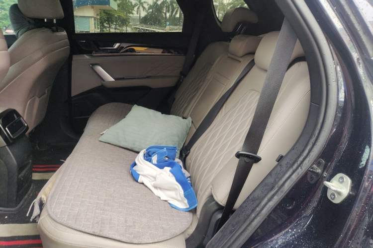 Used BYD Tang New Energy 2024 DM-p Glory Edition 215KM All-Wheel-Drive Premium Model Left Rear Seat