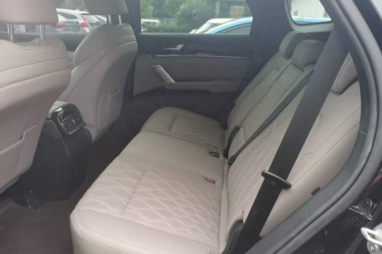 Used BYD Tang New Energy 2024 DM-i Glory Edition 112KM Prestige Model Left Rear Seat