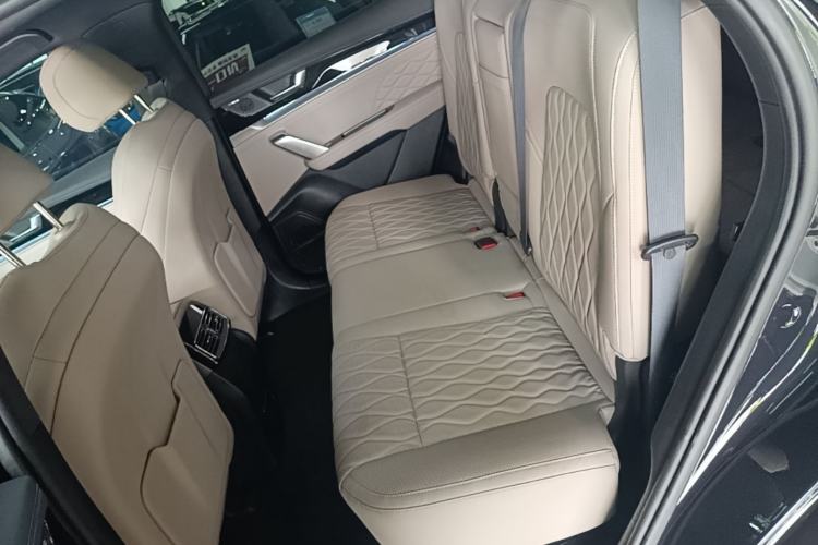 Used BYD Tang New Energy 2024 DM-i Glory Edition 112KM Prestige Model Left Rear Seat