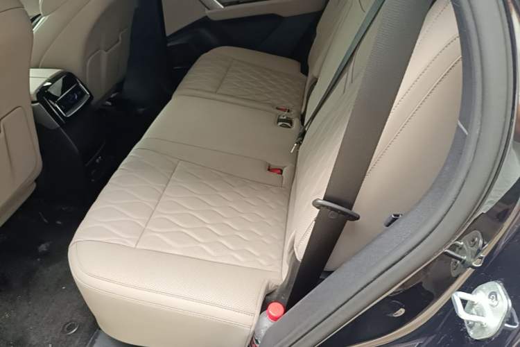Used BYD Tang New Energy 2024 EV Glory Edition 600KM Premium Model Left Rear Seat