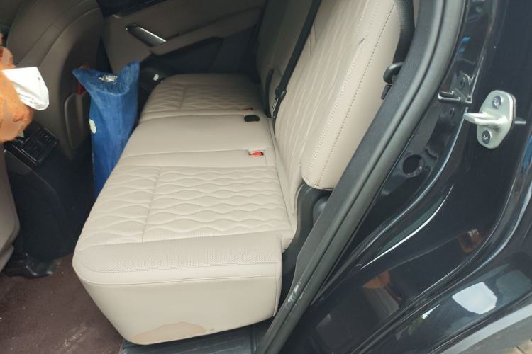 Used BYD Tang New Energy 2024 DM-i Glory Edition 200KM Flagship Model Left Rear Seat