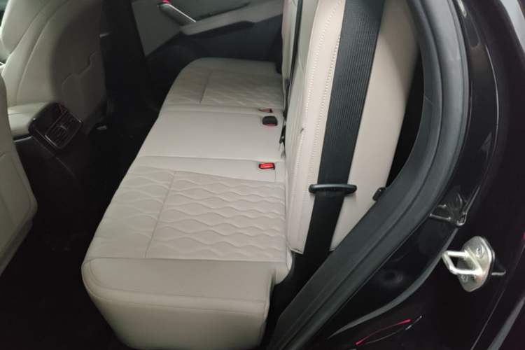Used BYD Tang New Energy 2024 DM-i Glory Edition 112KM Flagship Model Left Rear Seat