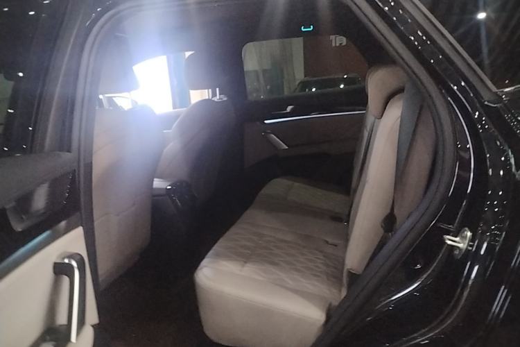Used BYD Tang New Energy 2024 DM-i Glory Edition 112KM Prestige Model Left Rear Seat