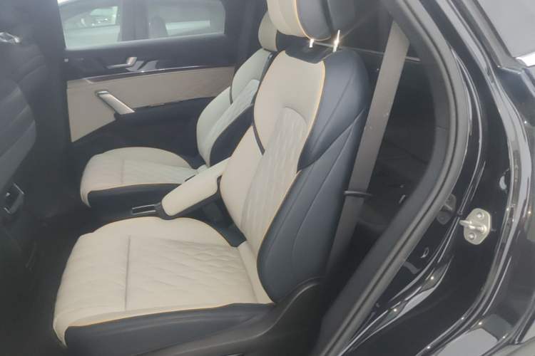 Used BYD Tang New Energy 2024 DM-p Champion Edition 215 km All-Wheel-Drive Flagship Model Left Rear Seat