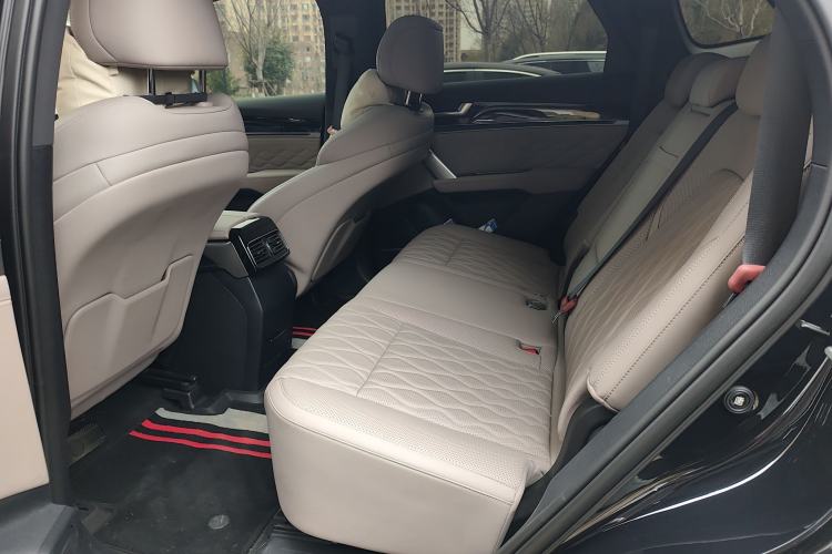Used BYD Tang New Energy 2024 DM-i Glory Edition 112KM Prestige Model Left Rear Seat