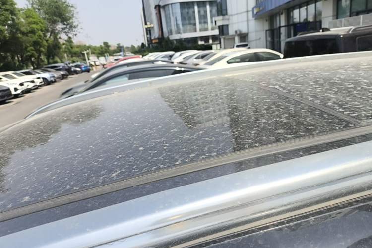 Used BYD Tang New Energy 2024 DM-i Glory Edition 112KM Flagship Model Roof