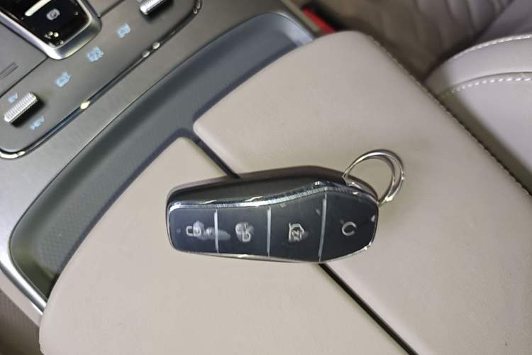 Used BYD Tang New Energy 2024 DM-p Glory Edition 215KM All-Wheel-Drive Premium Model Vehicle Key