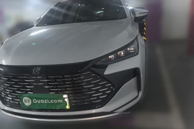 Gebrauchter BYD Tang New Energy 2024 DM-i Glory Edition 112KM Prestige Model