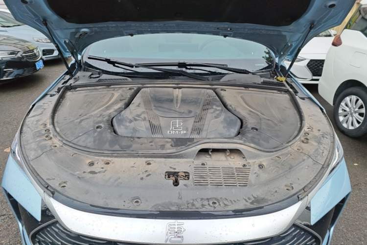 Used BYD Tang New Energy 2024 DM-p Champion Edition 215 km All-Wheel-Drive Flagship Model Engine Bay