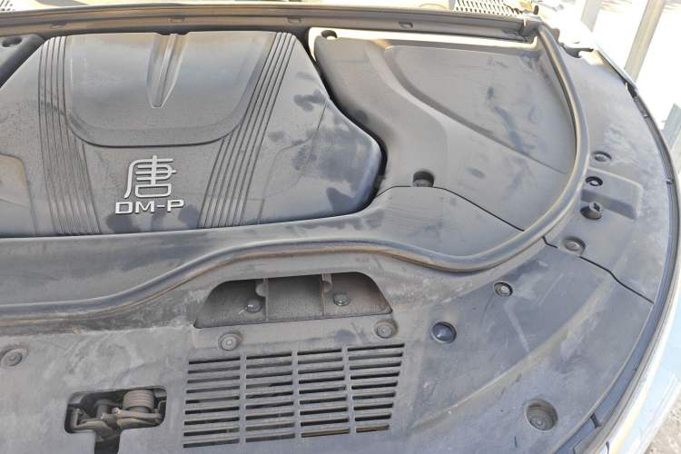 Used BYD Tang New Energy 2024 DM-p Champion Edition 215 km All-Wheel-Drive Flagship Model Engine Bay Left