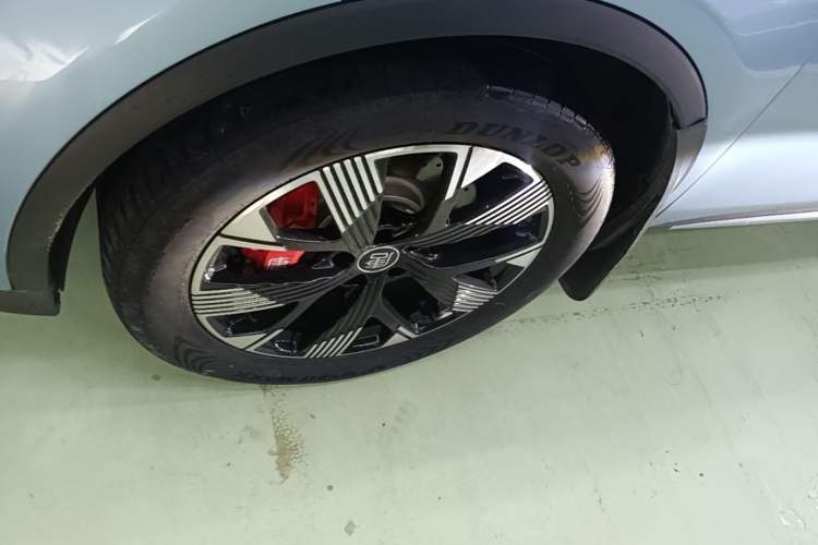 Used BYD Tang New Energy 2024 DM-p Champion Edition 215 km All-Wheel-Drive Flagship Model Exterior 4