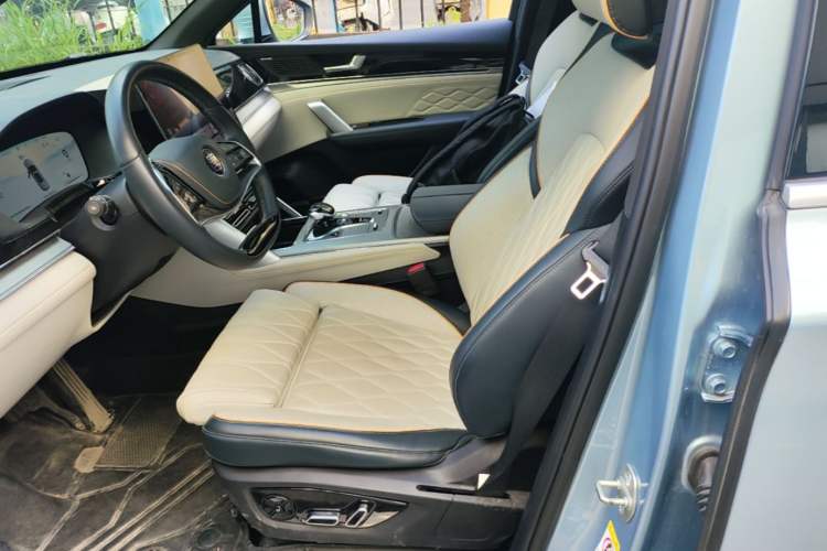 Used BYD Tang New Energy 2024 DM-p Champion Edition 215 km All-Wheel-Drive Flagship Model Left Front Seat