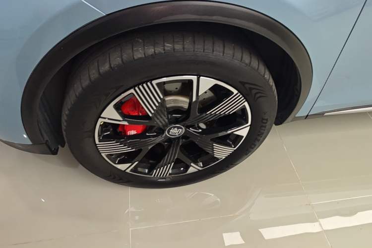 Used BYD Tang New Energy 2024 DM-p Champion Edition 215 km All-Wheel-Drive Flagship Model Left Front Wheel Hub