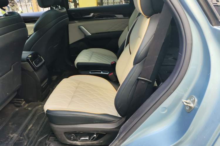 Used BYD Tang New Energy 2024 DM-p Champion Edition 215 km All-Wheel-Drive Flagship Model Left Rear Seat