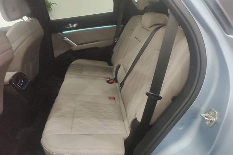 Used BYD Tang New Energy 2024 DM-p Champion Edition 215 km All-Wheel-Drive Flagship Model Left Rear Seat