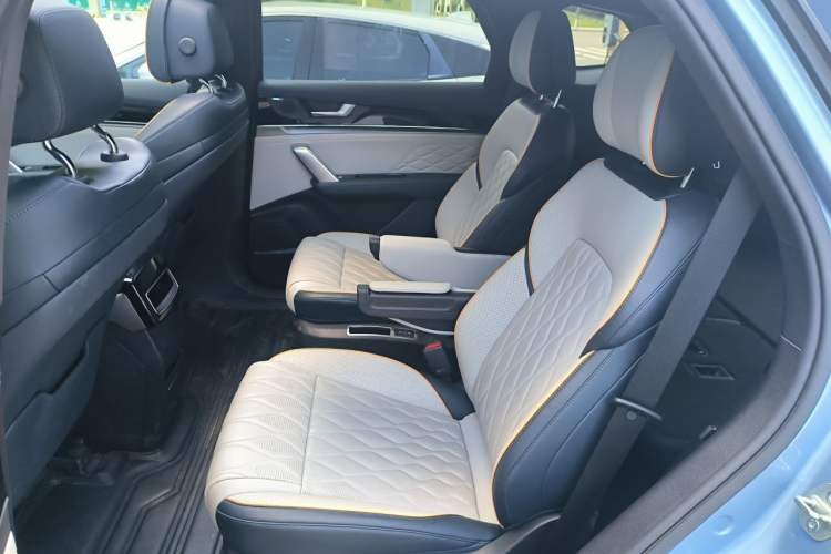Used BYD Tang New Energy 2024 EV Champion Edition 635 km All-Wheel-Drive Flagship Model Left Rear Seat
