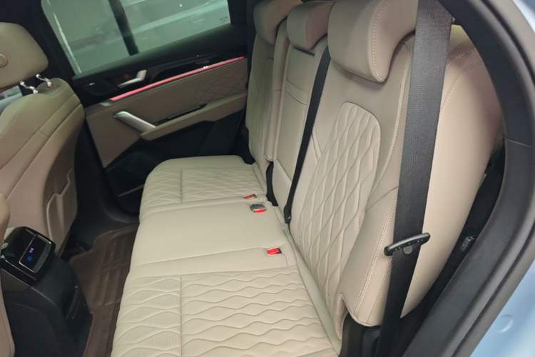 Used BYD Tang New Energy 2024 DM-p Champion Edition 215 km All-Wheel-Drive Flagship Model Left Rear Seat