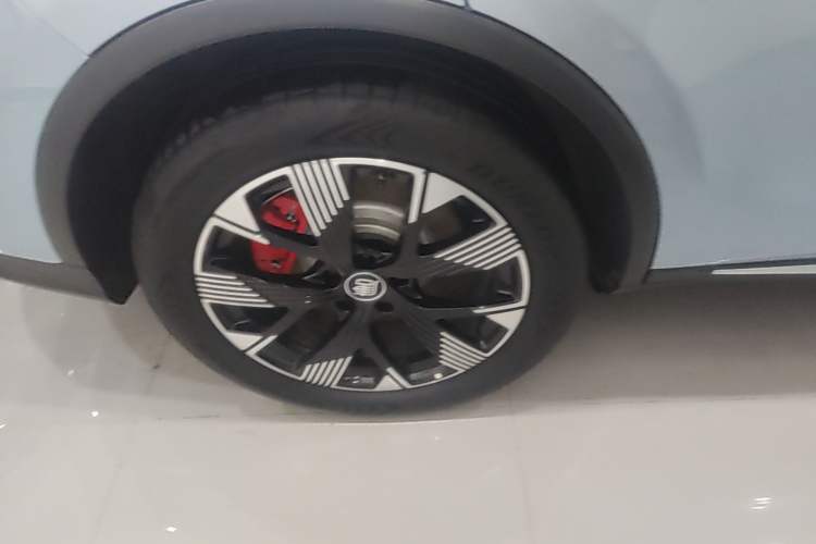 Used BYD Tang New Energy 2024 DM-p Champion Edition 215 km All-Wheel-Drive Flagship Model Right Rear Wheel Hub