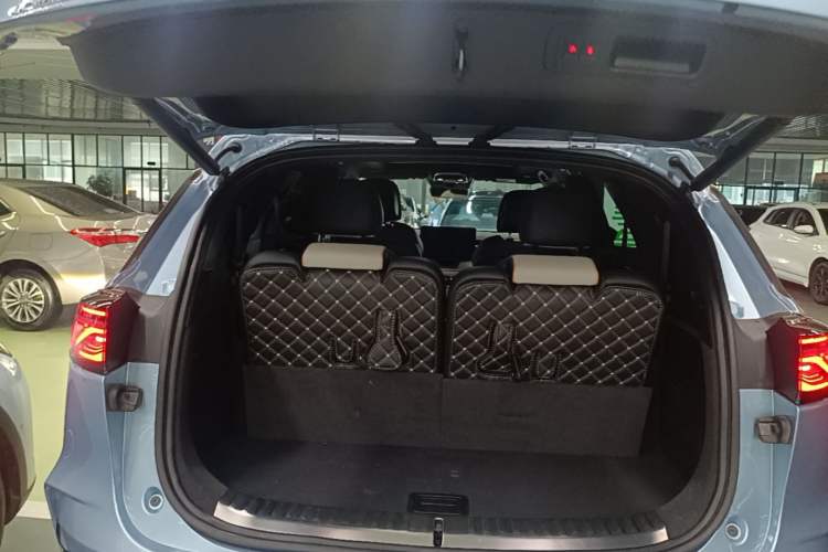 Used BYD Tang New Energy 2024 DM-p Champion Edition 215 km All-Wheel-Drive Flagship Model Trunk
