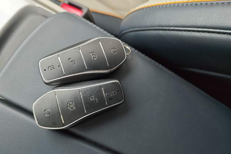 Used BYD Tang New Energy 2024 DM-p Champion Edition 215 km All-Wheel-Drive Flagship Model Vehicle Key
