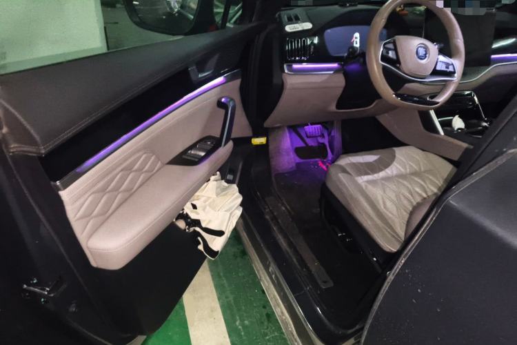 Used BYD Tang New Energy 2024 DM-i Glory Edition 112KM Prestige Model Driver Seat