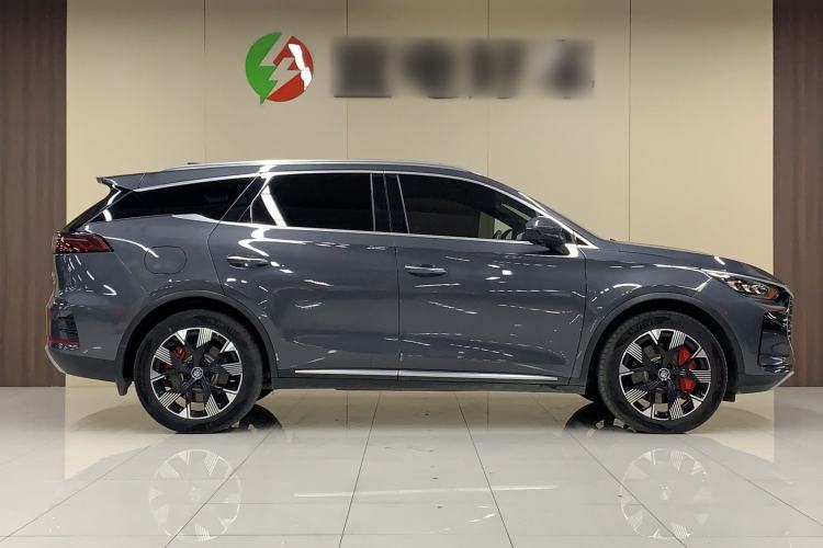 Used BYD Tang New Energy 2024 DM-p Champion Edition 215 km All-Wheel-Drive Flagship Model Exterior 3