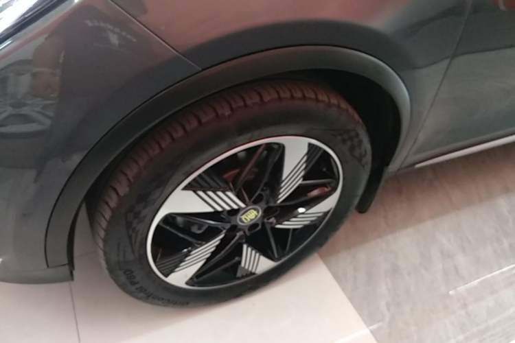 Used BYD Tang New Energy 2024 DM-i Glory Edition 112KM Prestige Model Exterior 4