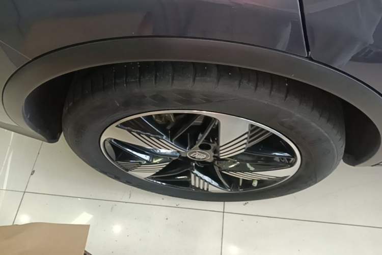Used BYD Tang New Energy 2024 DM-i Glory Edition 112KM Prestige Model Exterior 5