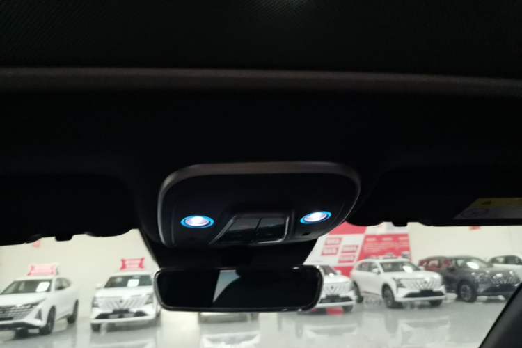 Used BYD Tang New Energy 2024 DM-i Glory Edition 112KM Flagship Model Headliner