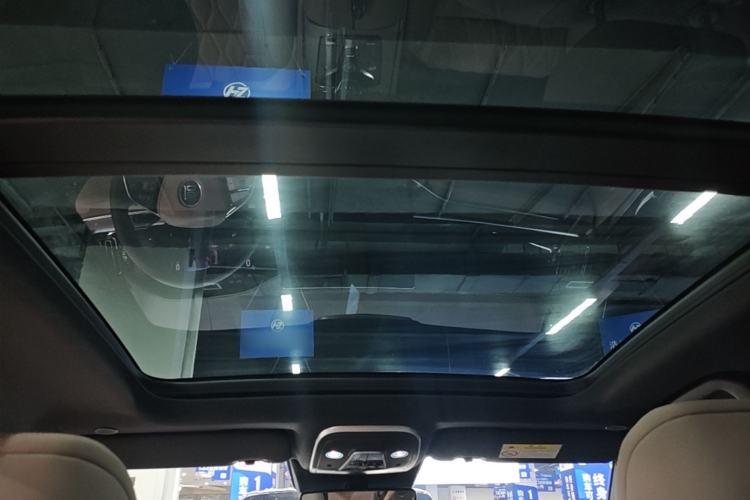 Used BYD Tang New Energy 2024 DM-i Glory Edition 112KM Prestige Model Headliner