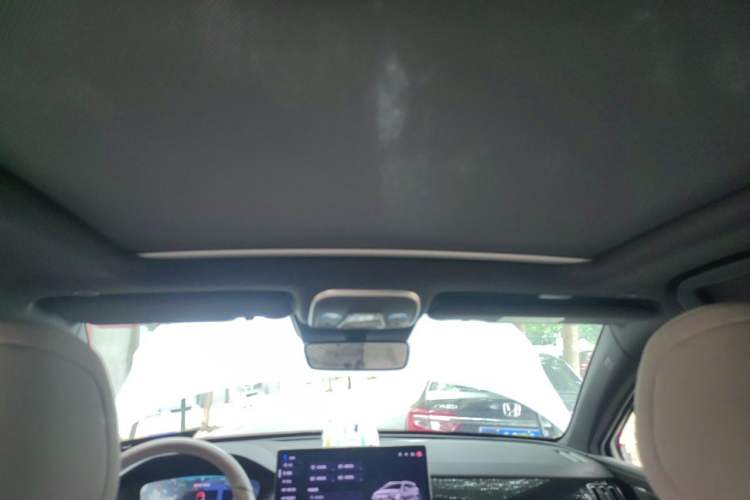 Used BYD Tang New Energy 2024 DM-i Glory Edition 112KM Prestige Model Headliner