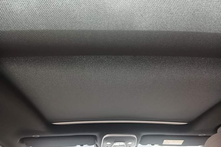 Used BYD Tang New Energy 2024 DM-i Glory Edition 112KM Prestige Model Headliner