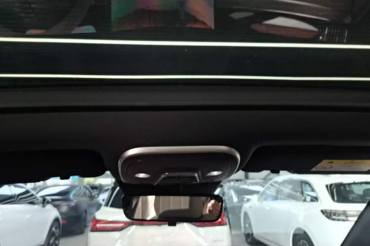 Used BYD Tang New Energy 2024 DM-i Glory Edition 112KM Prestige Model Headliner
